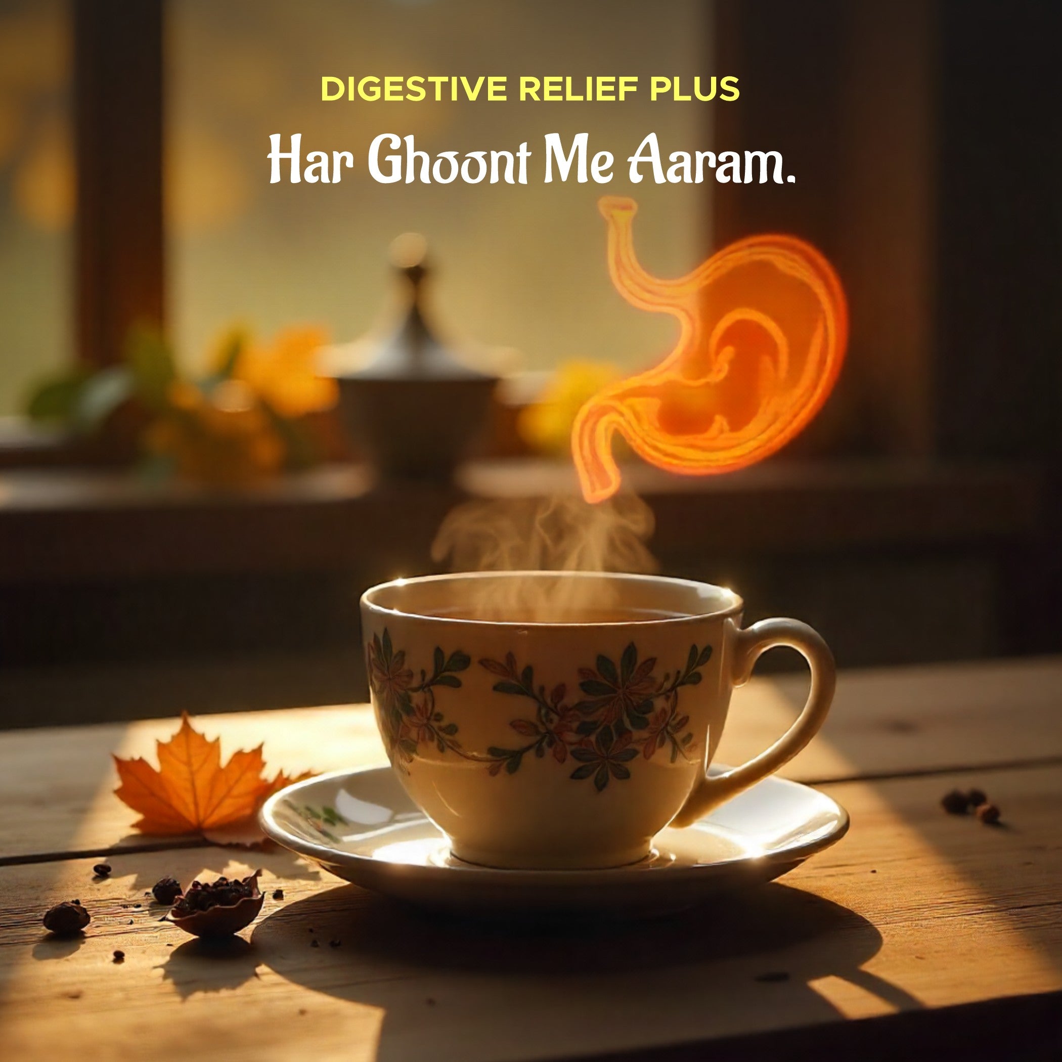 Digestive Relief Plus (Gasless DS Advance + Triphala + Stomach Fridom)