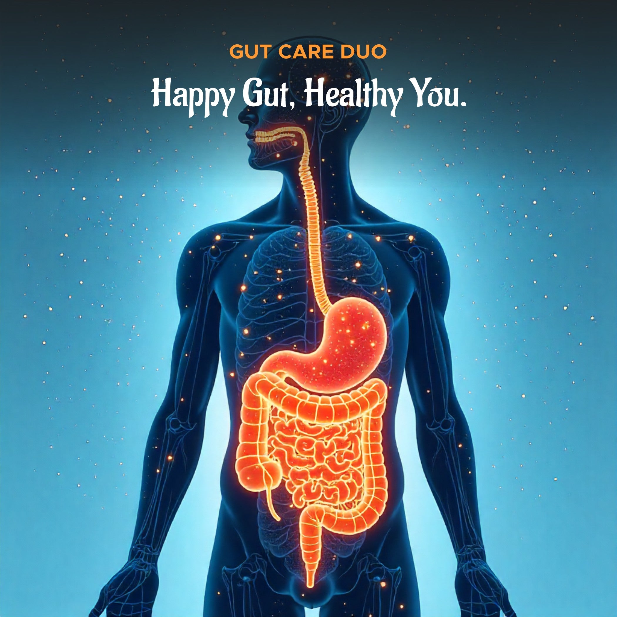 Gut Care Duo (Gasless DS + Triphala)