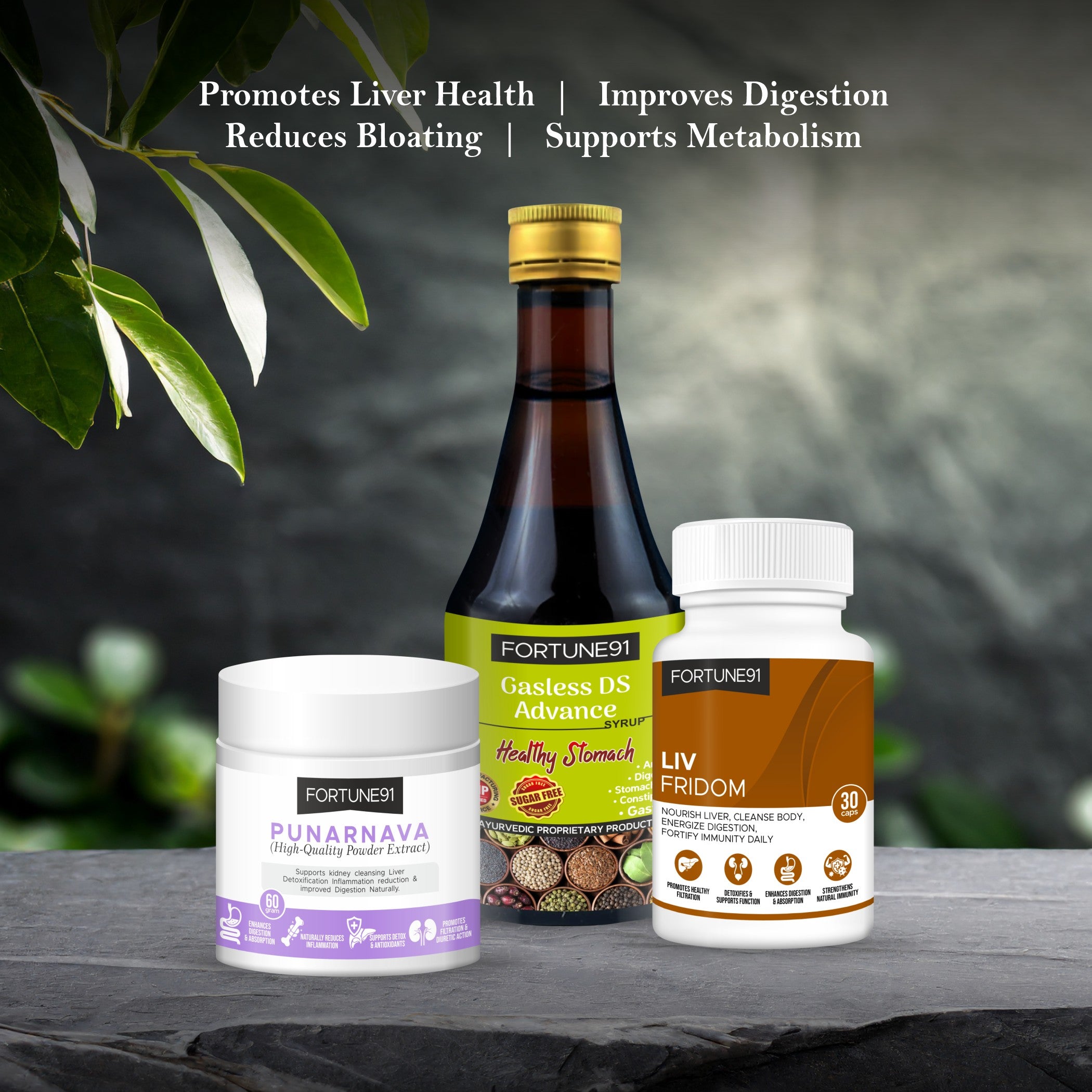 Lifestyle Detox (Liv Fridom + Gasless DS Advance + Punarnava)